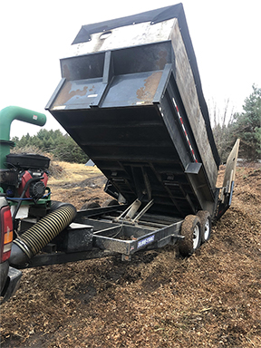 dethatching in corcoran minnesota