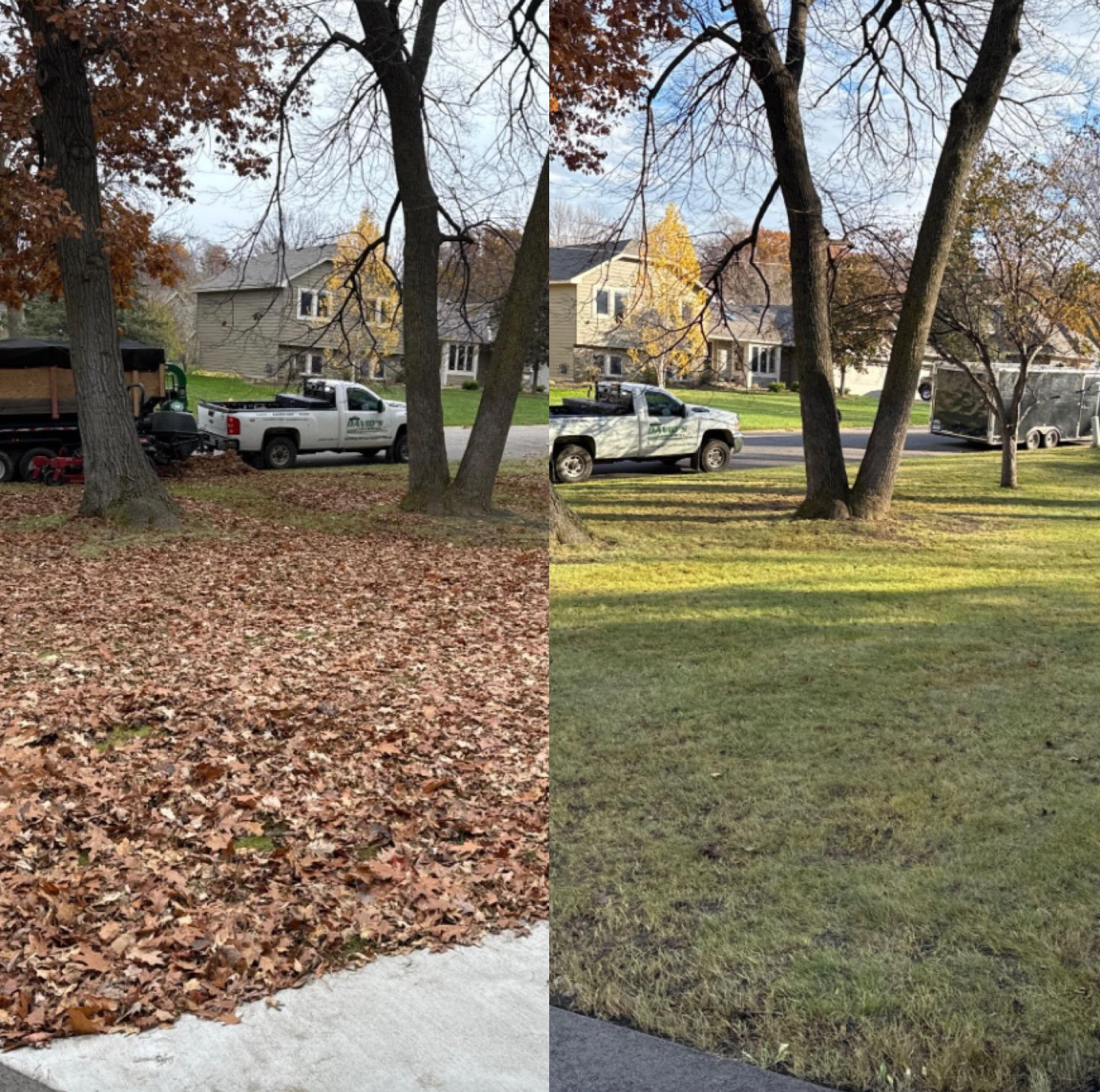 Fall and spring cleanup near me