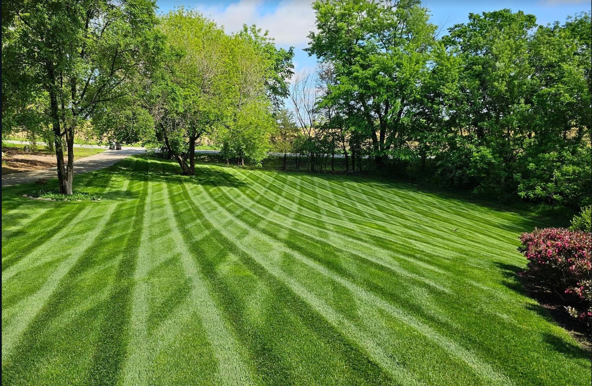 maple grove lawn mowing