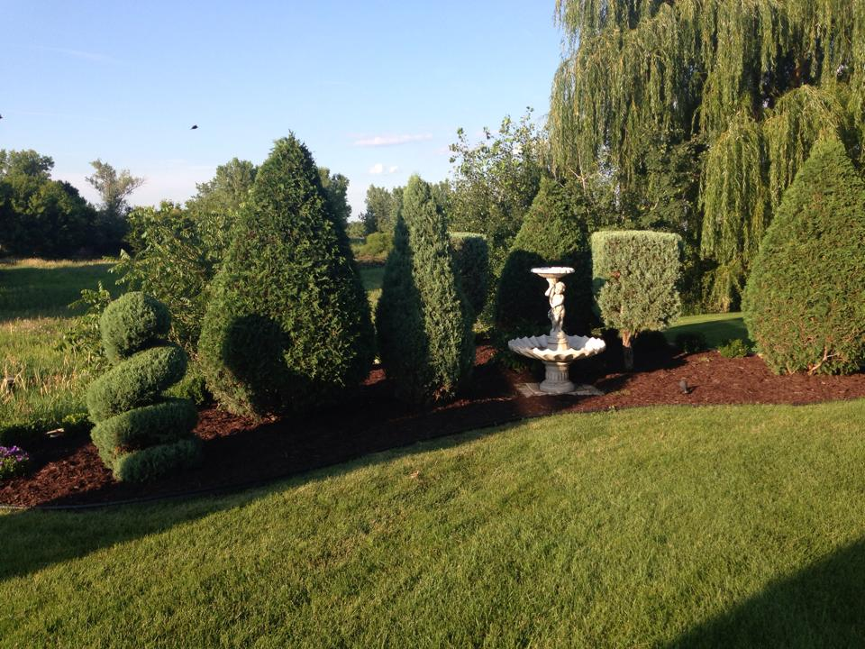 Shrub Trimming Plymouth Minnesota