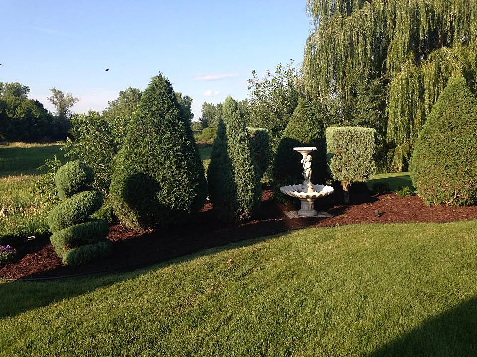 Shrub Trimming Plymouth Minnesota