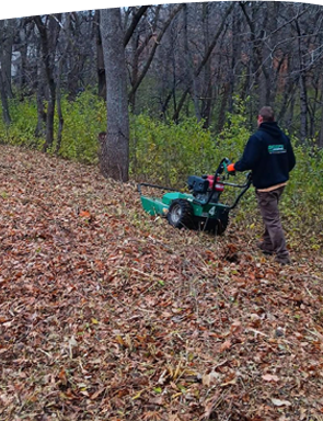 Spring and Fall Cleanup Near Me