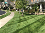 Lawn Care Near Me