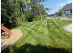 Lawn Care Near Me