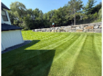Lawn Care Near Me